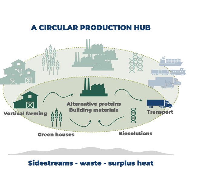 Billedet viser en cirkulær model for bæredygtig produktion. Den inkluderer vertikale landbrug, drivhuse, transport, biosløsninger og genbrug af affald og varme, hvilket skaber en lukket, miljøvenlig cyklus.